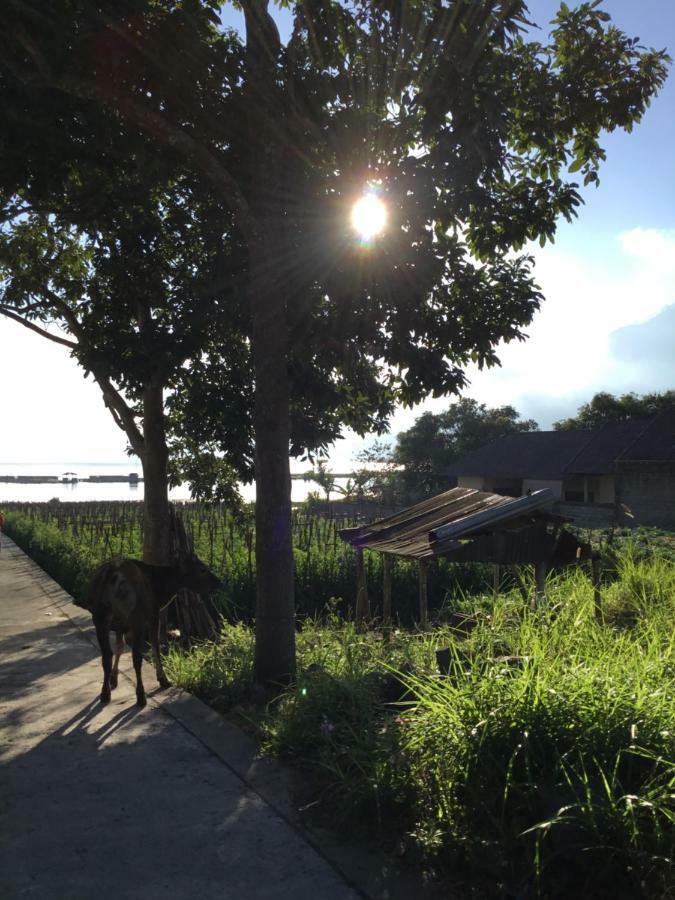 The Villa'S Kubu Sandan Kintamani  Ngoại thất bức ảnh